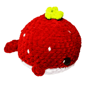 Carolinda Amigurumis