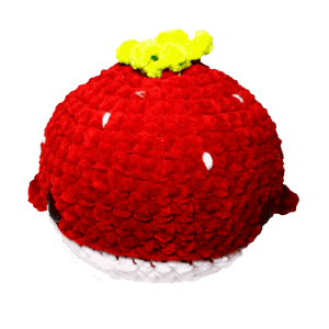 Carolinda Amigurumis