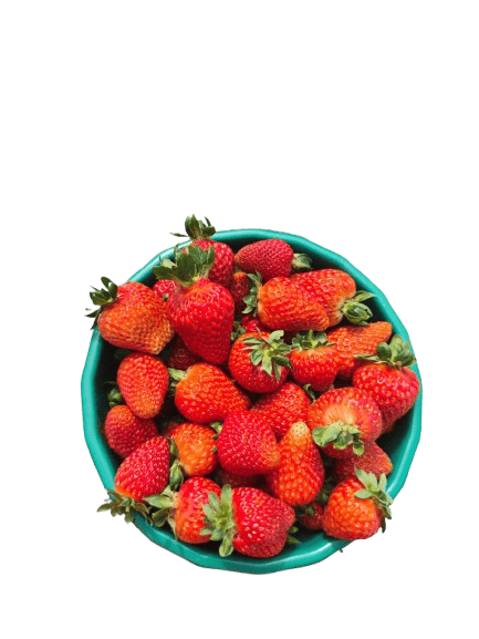 WhatsApp_Image_2026-04-13_at_9.08.26_PM__1_-removebg-preview (1)