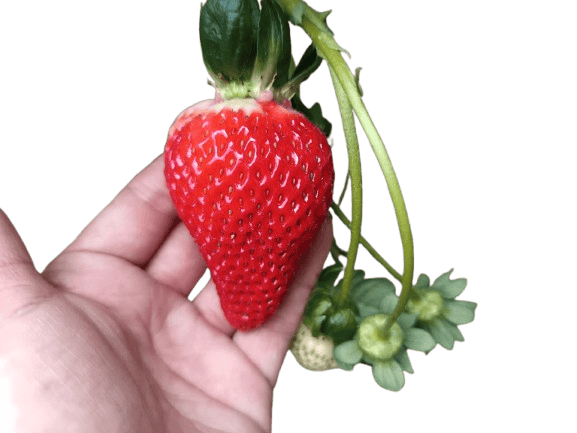 WhatsApp_Image_2026-04-13_at_9.21.52_PM__1_-removebg-preview