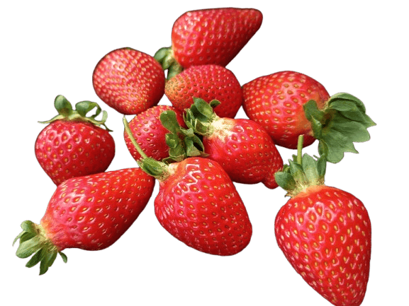 WhatsApp_Image_2026-04-13_at_9.21.53_PM-removebg-preview